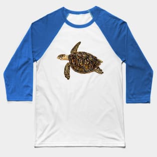 Hawksbill turtle Baseball T-Shirt